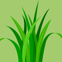 Grass Clipart