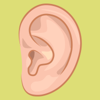 Ear Clipart