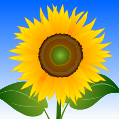 Sunflower Clipart