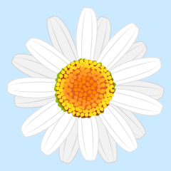 Daisy Clipart