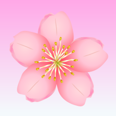 Cherry Blossom Clipart