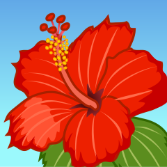 Hibiscus Clipart