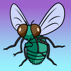 Fly Cartoon Clipart