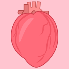 Human Heart Clipart