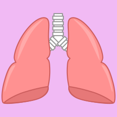 Lung Clipart