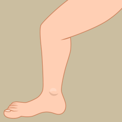 Leg Clipart