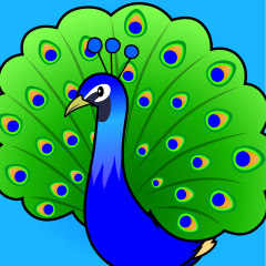 Peacock Clipart