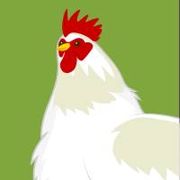 Chicken Cartoon Clipart