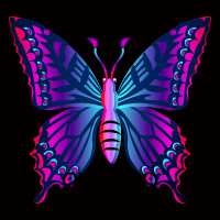 Butterfly Cartoon Clipart