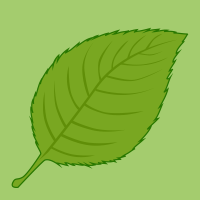 Leaf Clipart