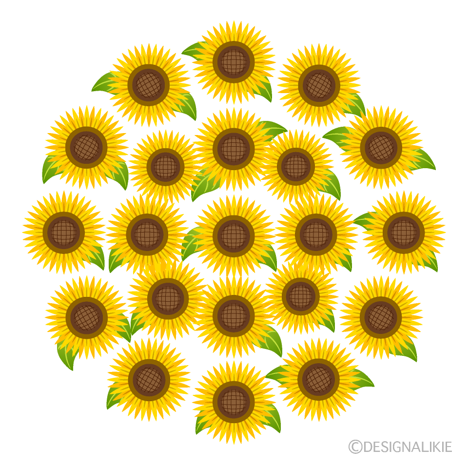 Simple Sunflower Circle
