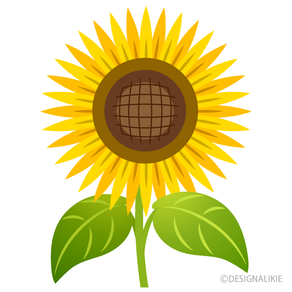 Simple Sunflower