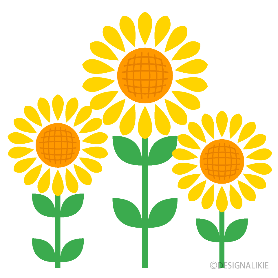 Three Cute Sunflower