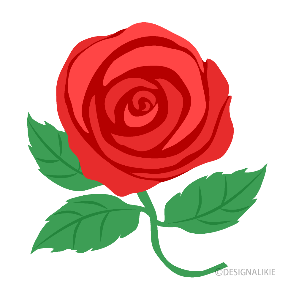 Red Rose