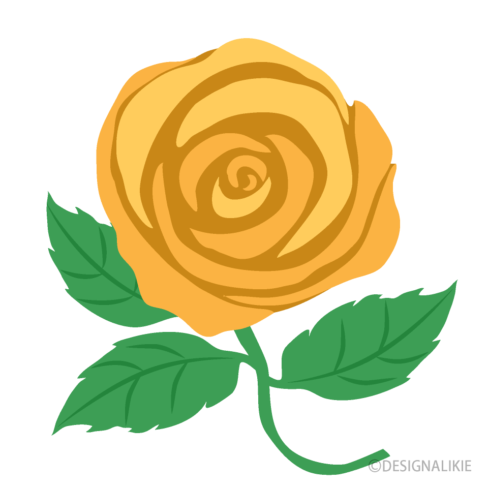 Yellow Rose