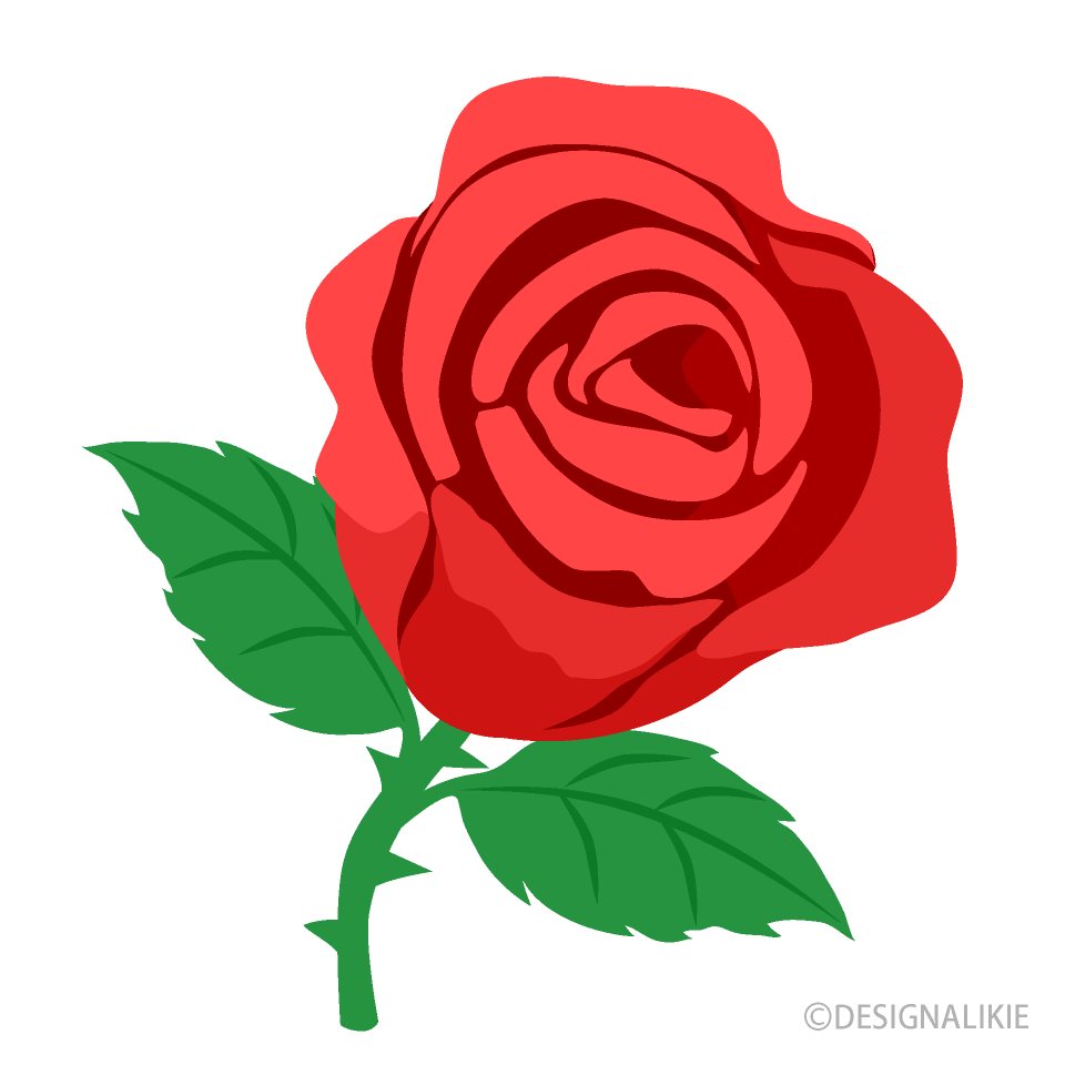 Red Rose Flower