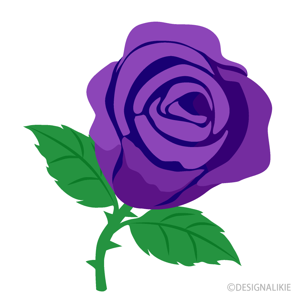 Purple Rose Flower