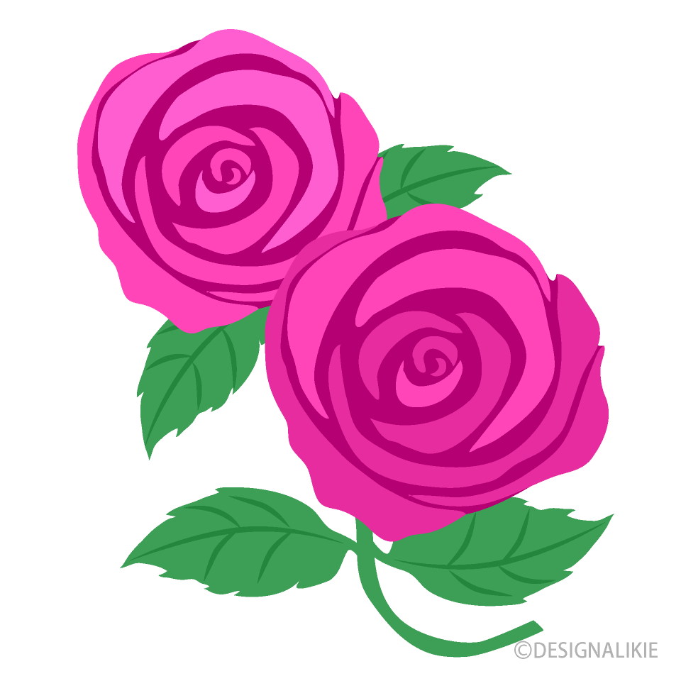 Pink Roses