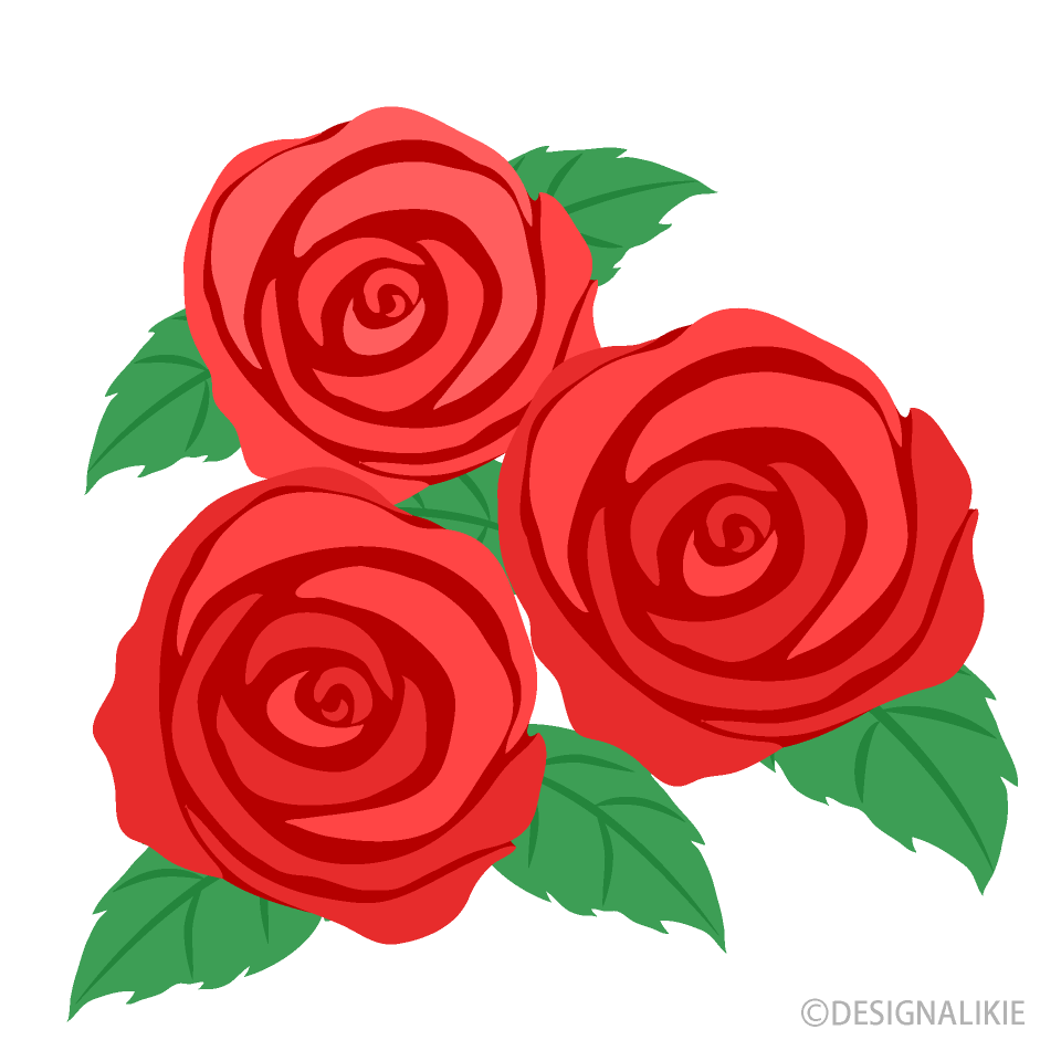 Three Red Roses