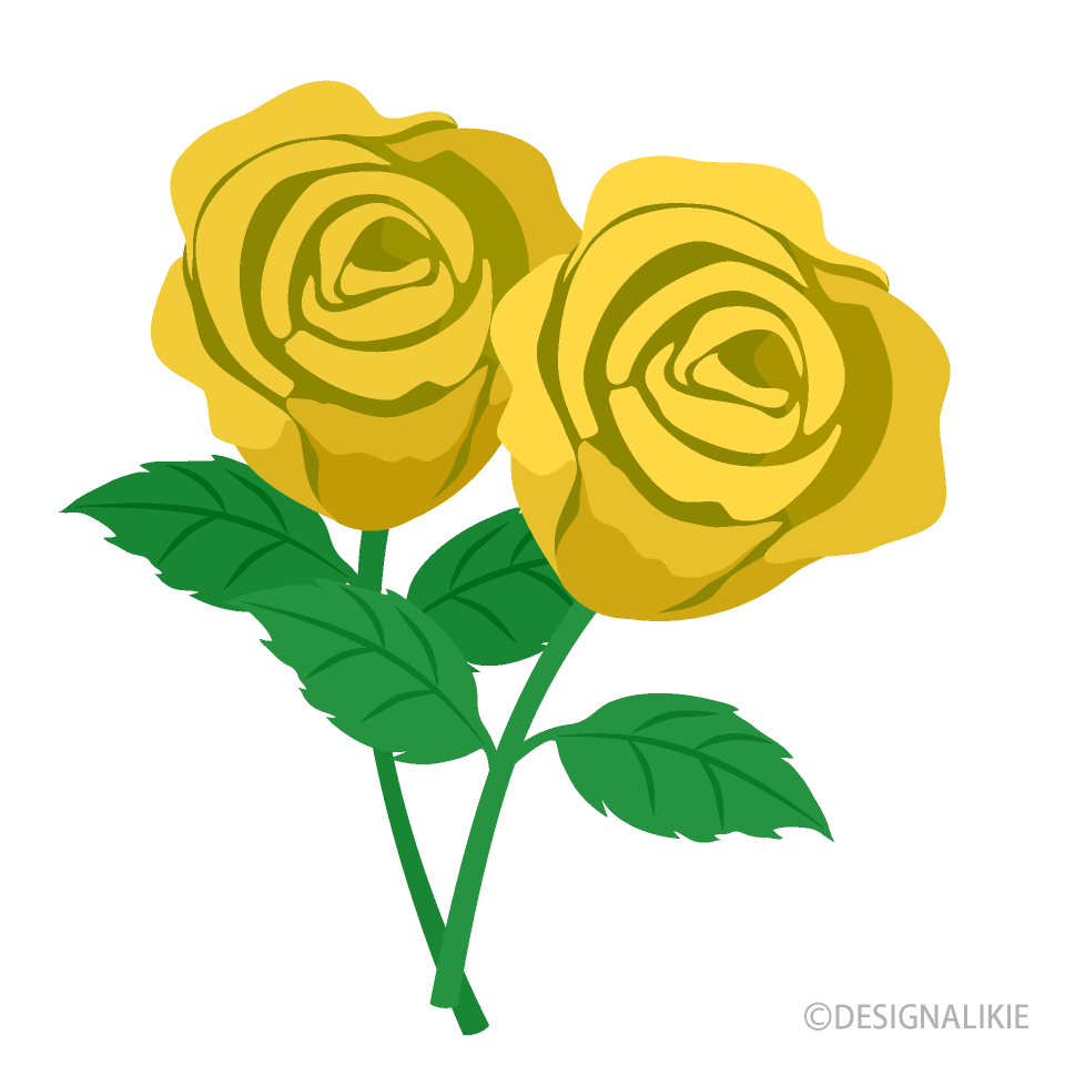 Yellow Rose Flowers