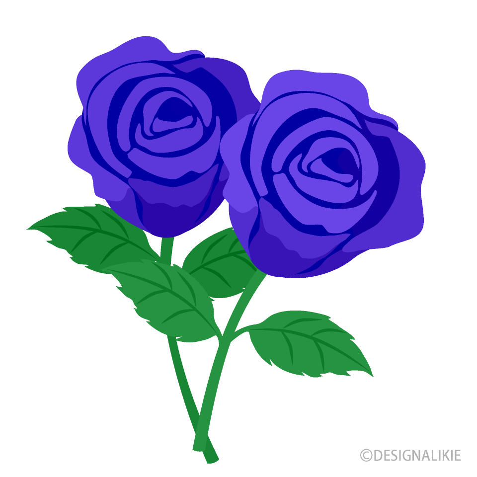 Blue Rose Flowers