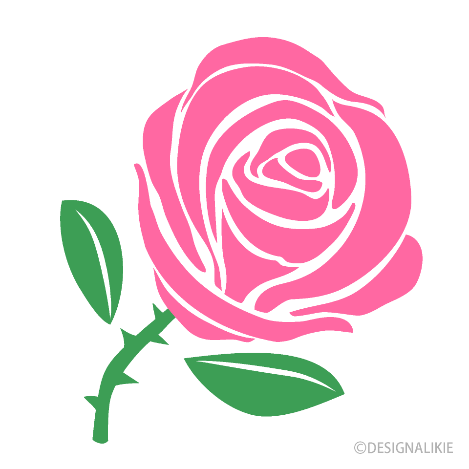 Pink Rose