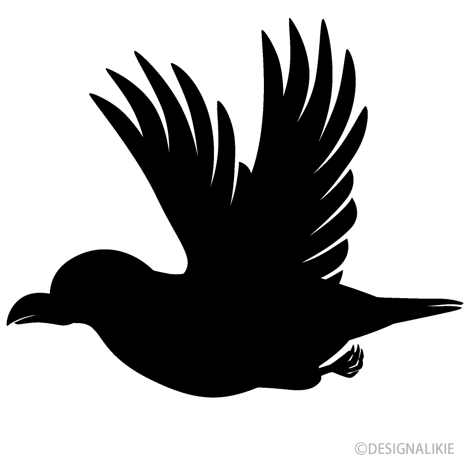 Flying Crow