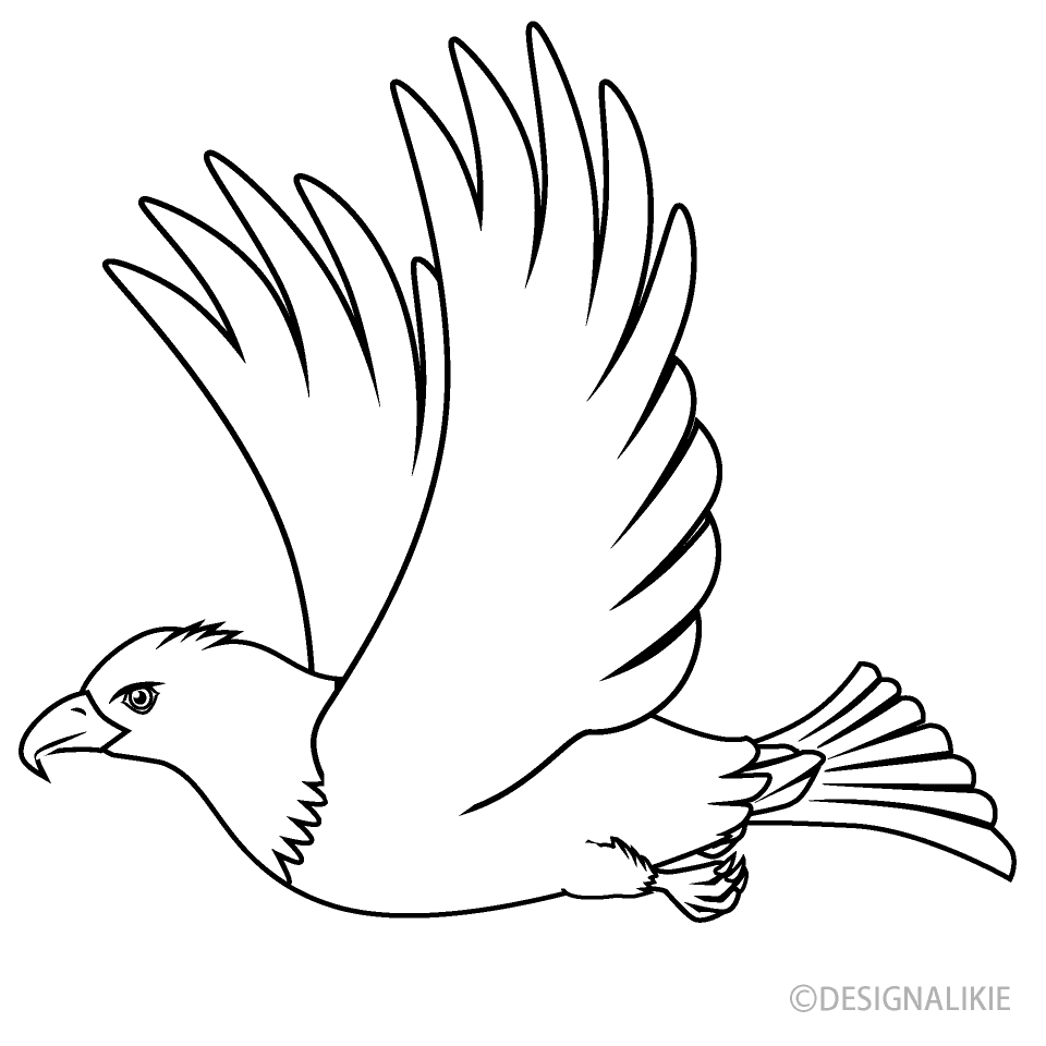 Águila Volando