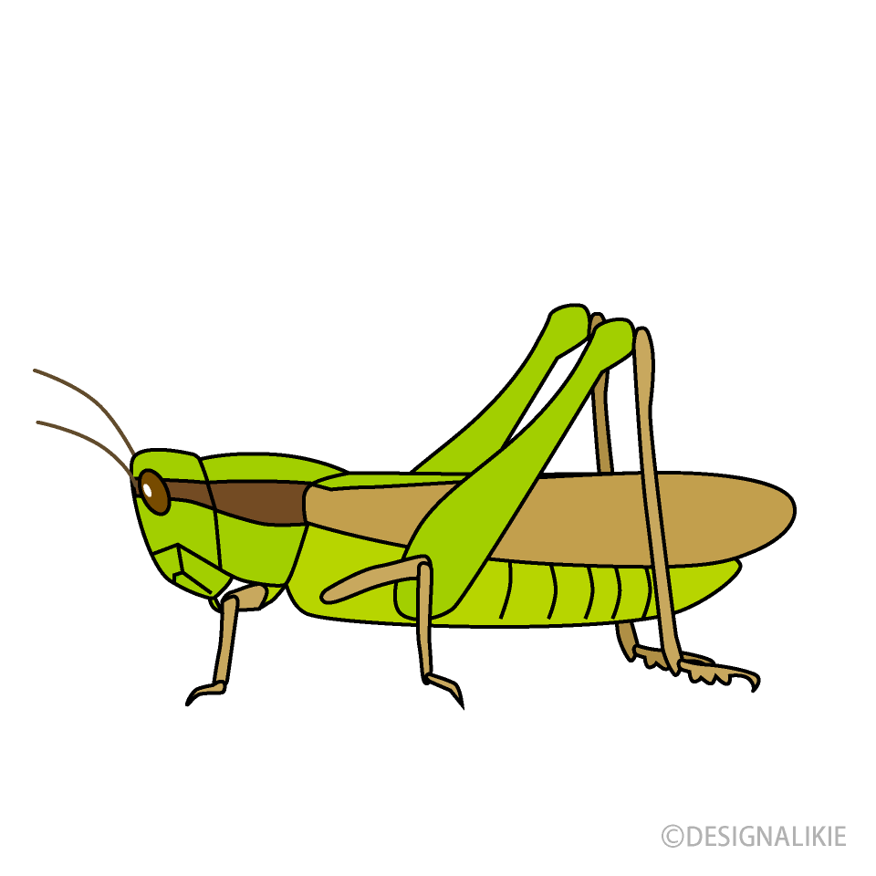 Locust