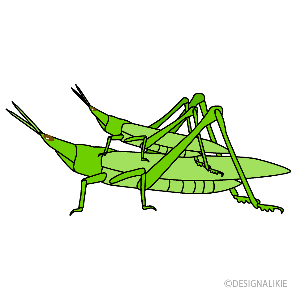 Parent and Child Locust