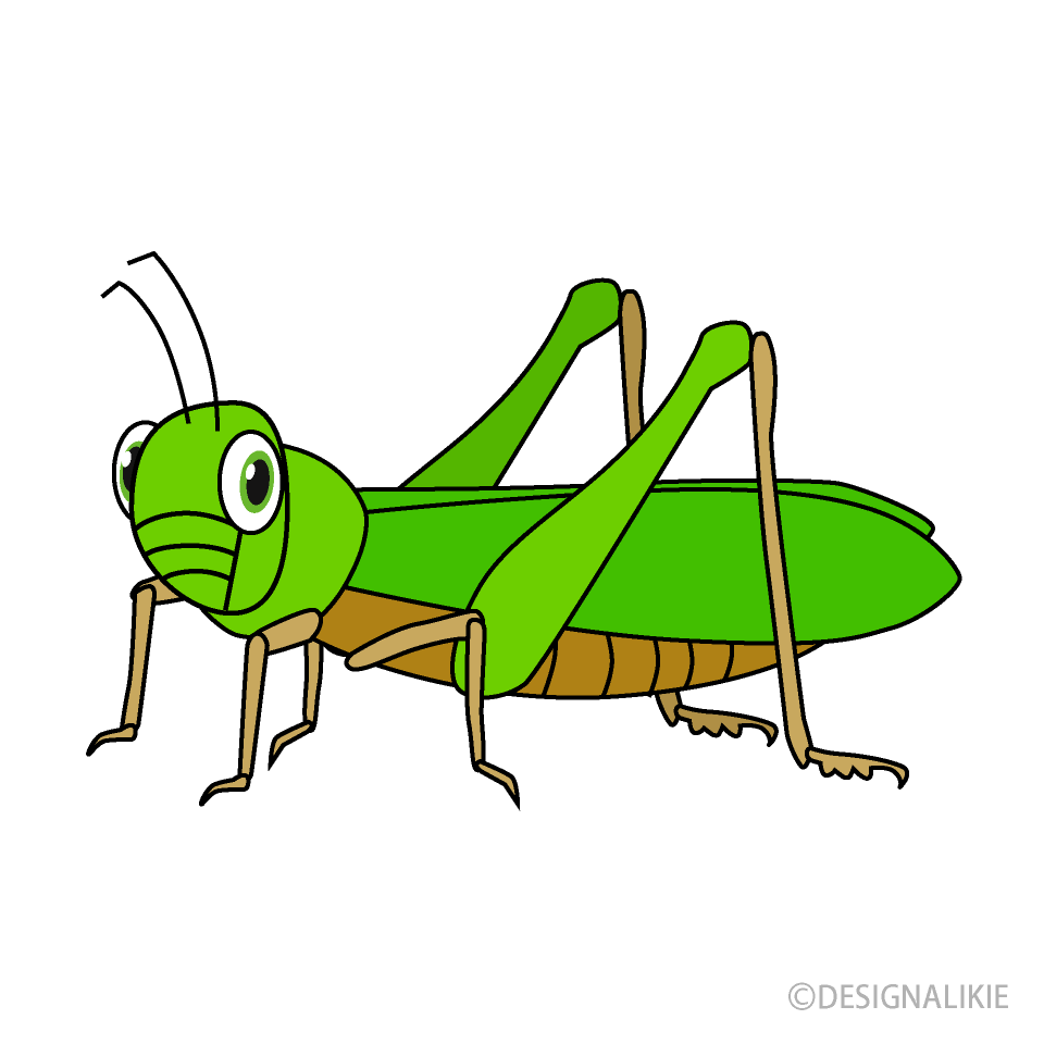 Langosta