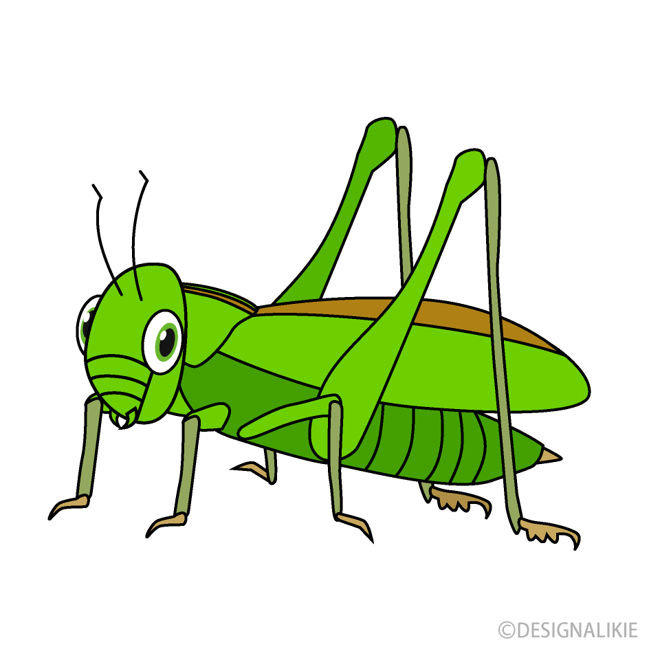 Grasshopper