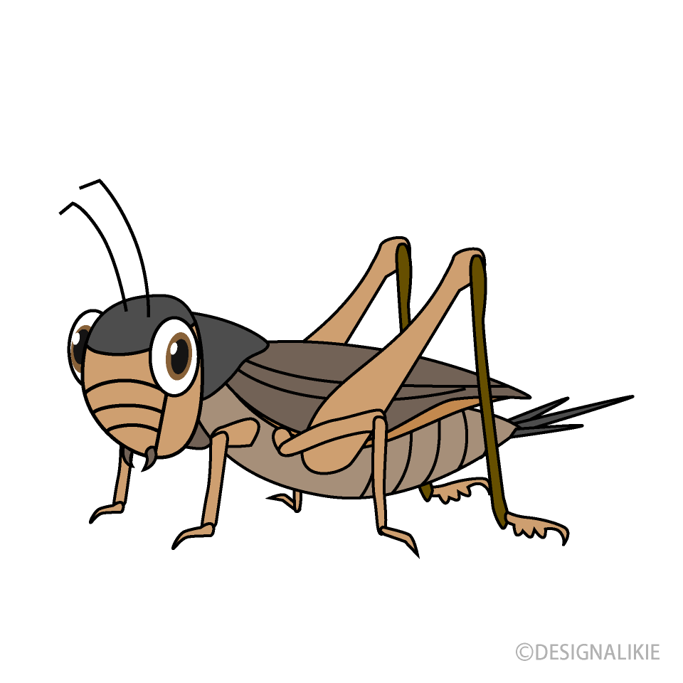 Grillo