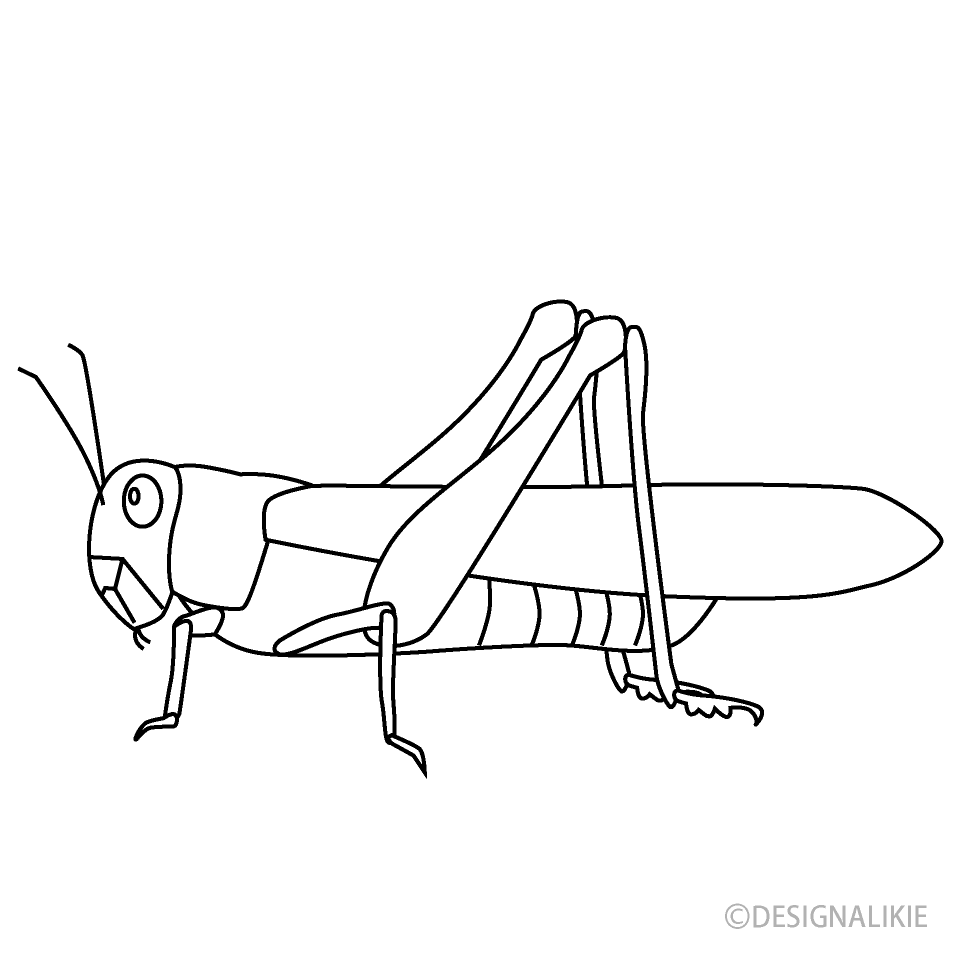 Locust