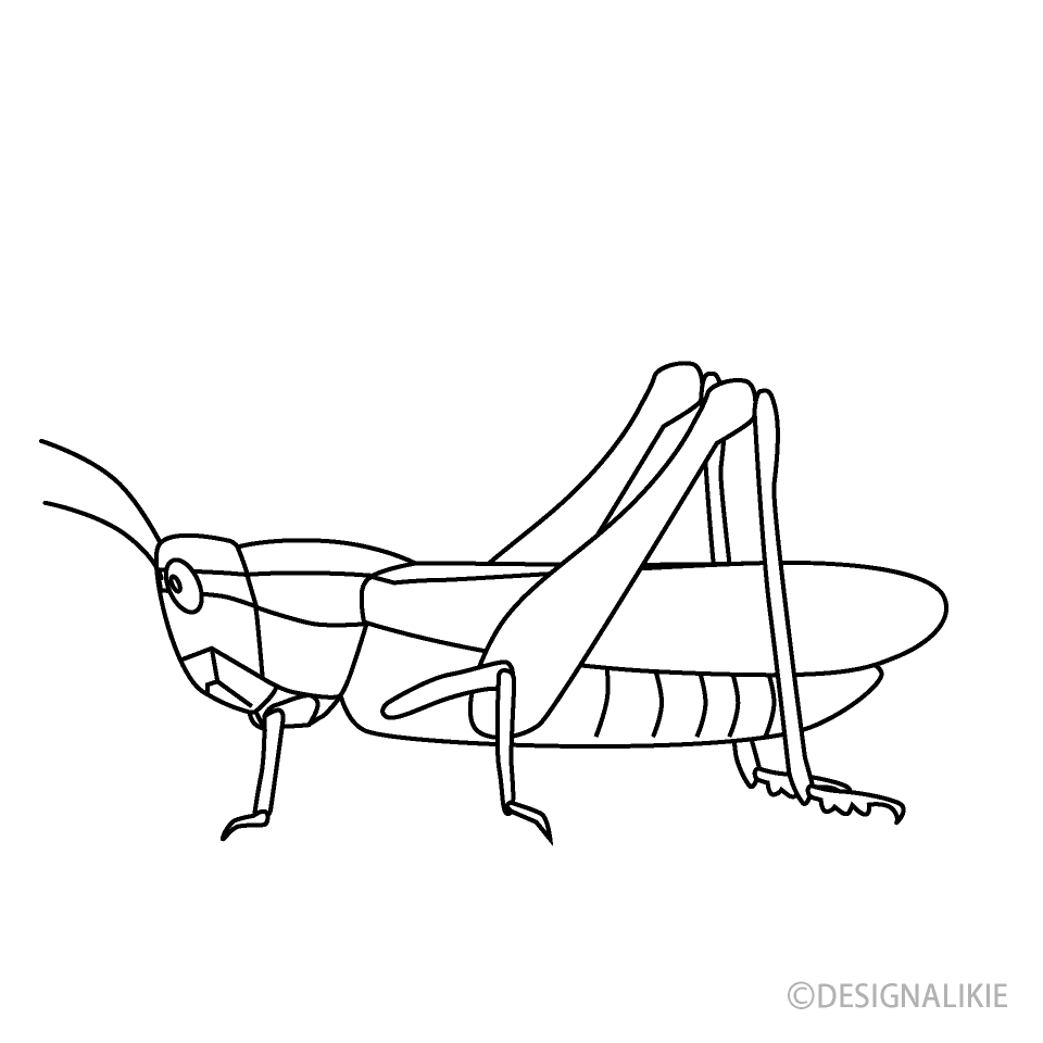 Locust