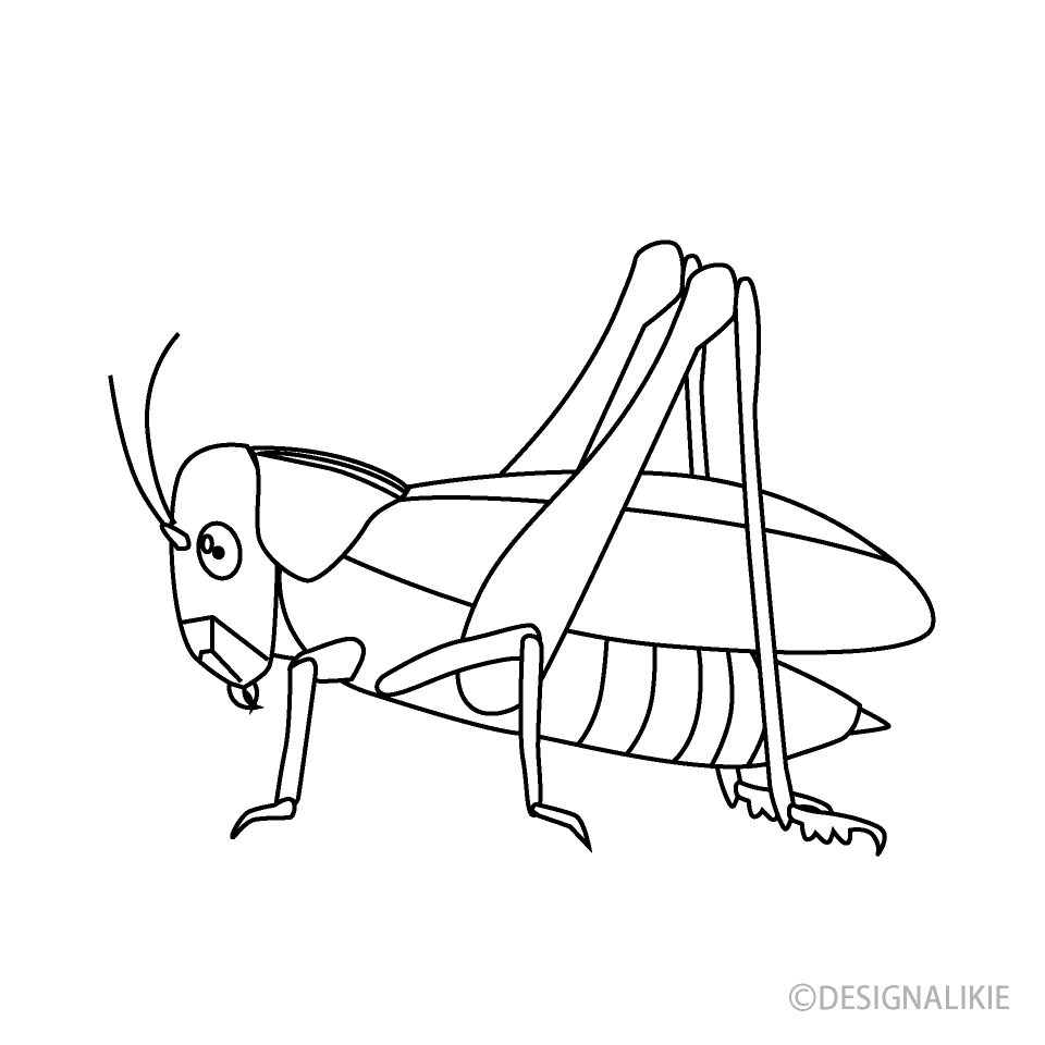 Grasshopper