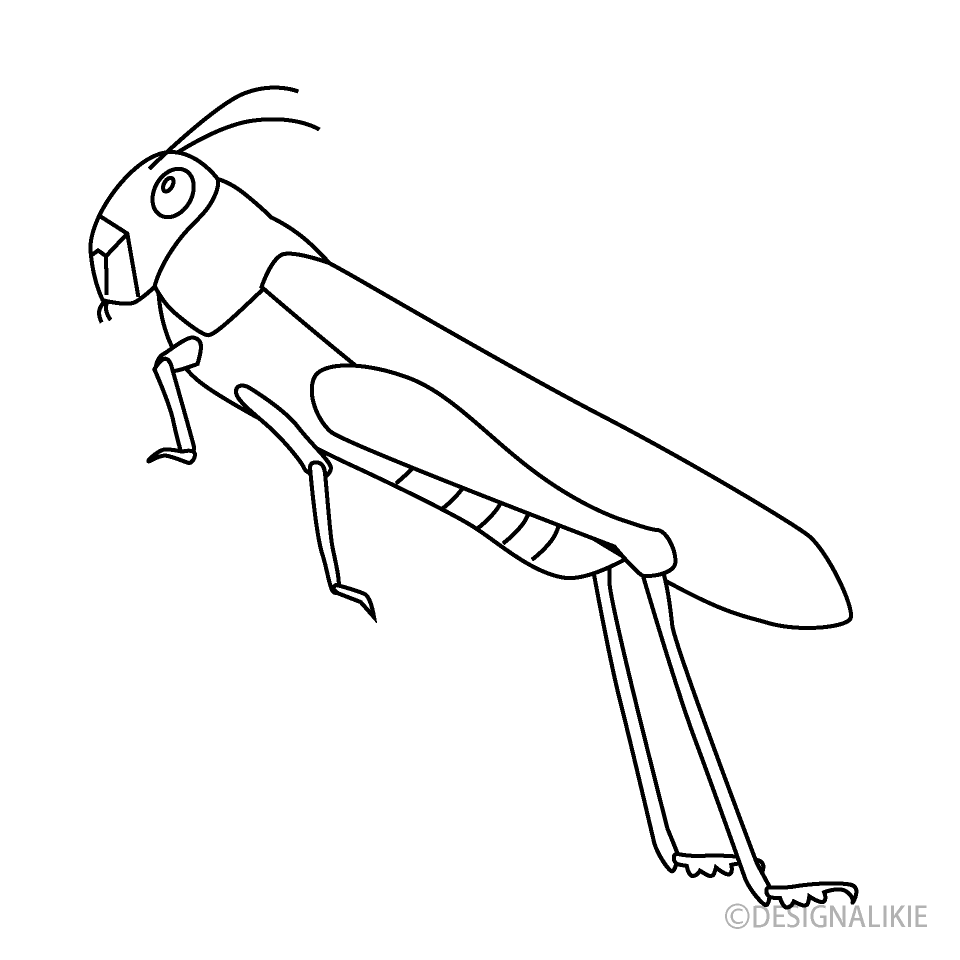 Jumping Locust