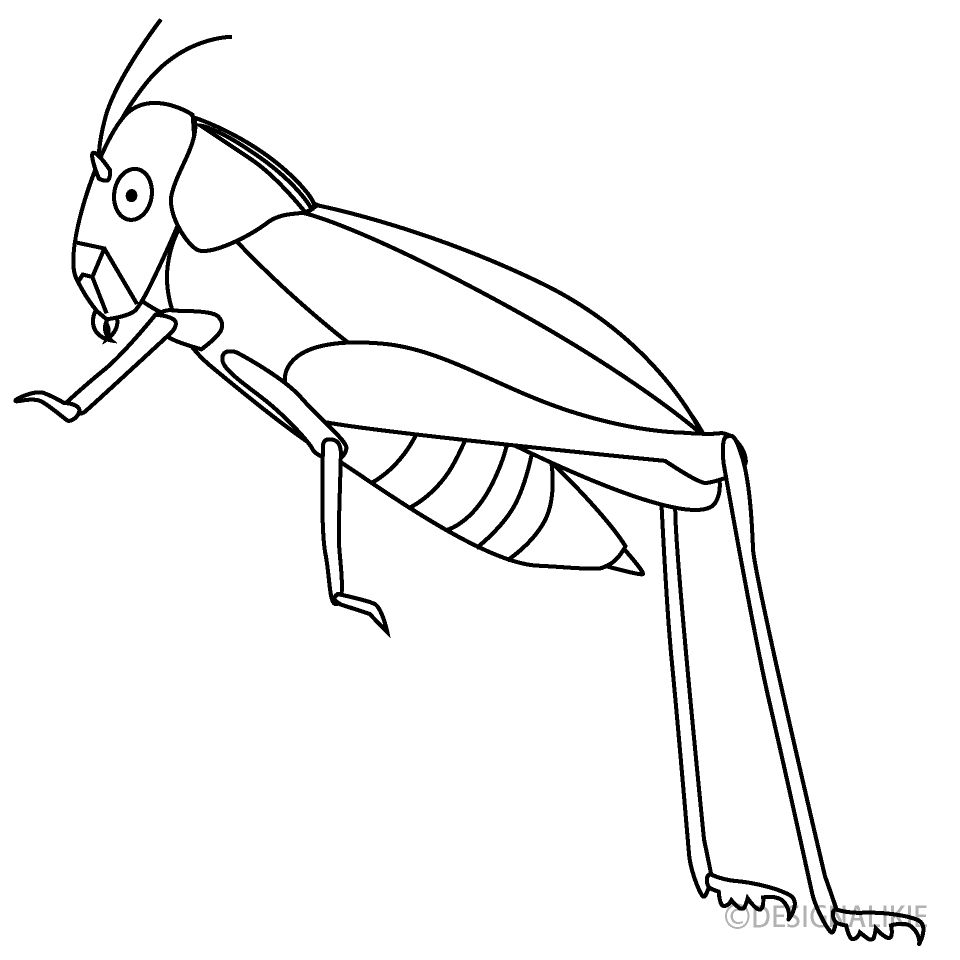Saltamontes Saltarín
