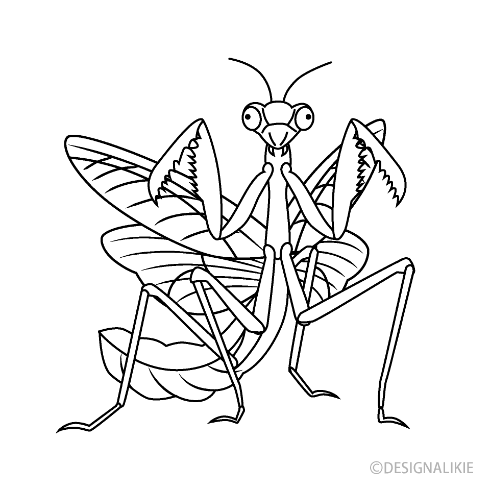 Menacing Mantis