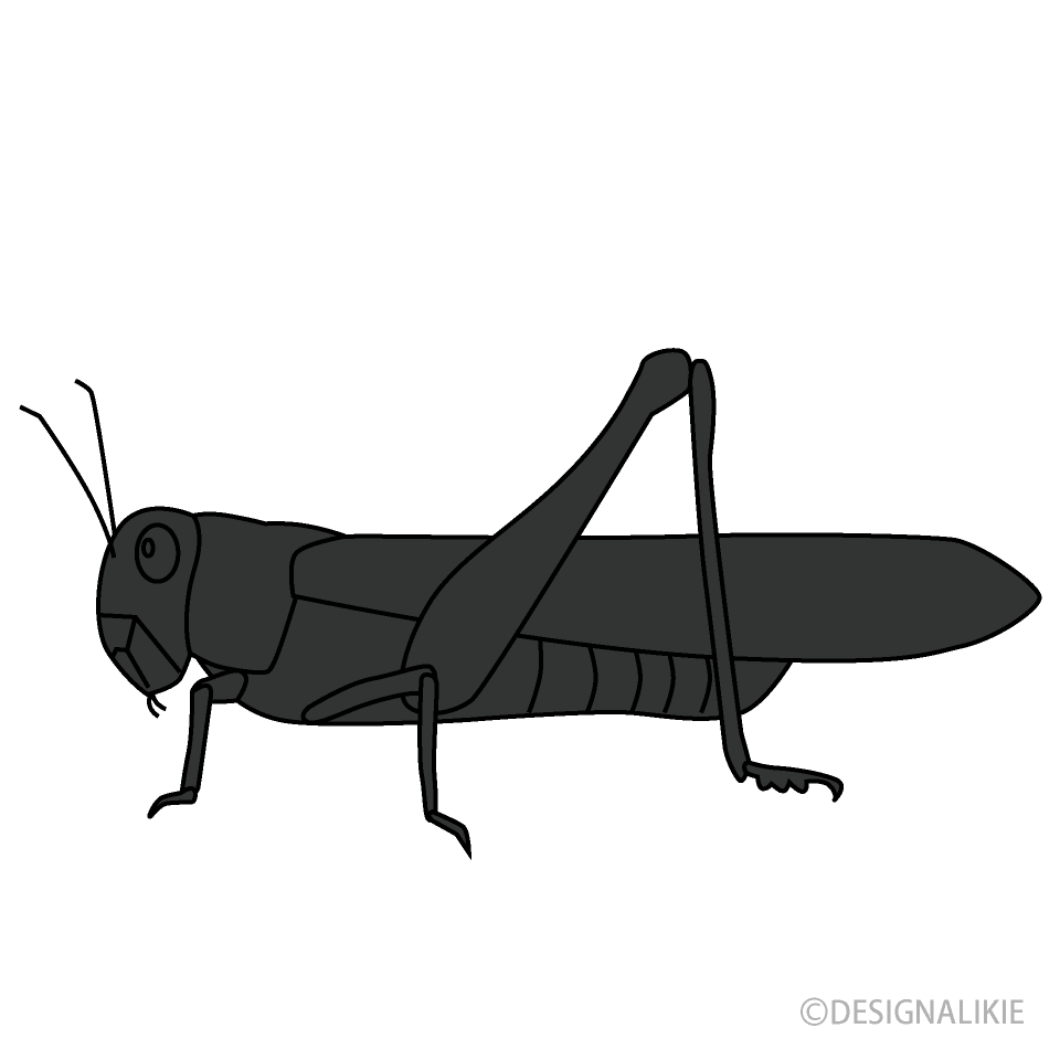 Locust