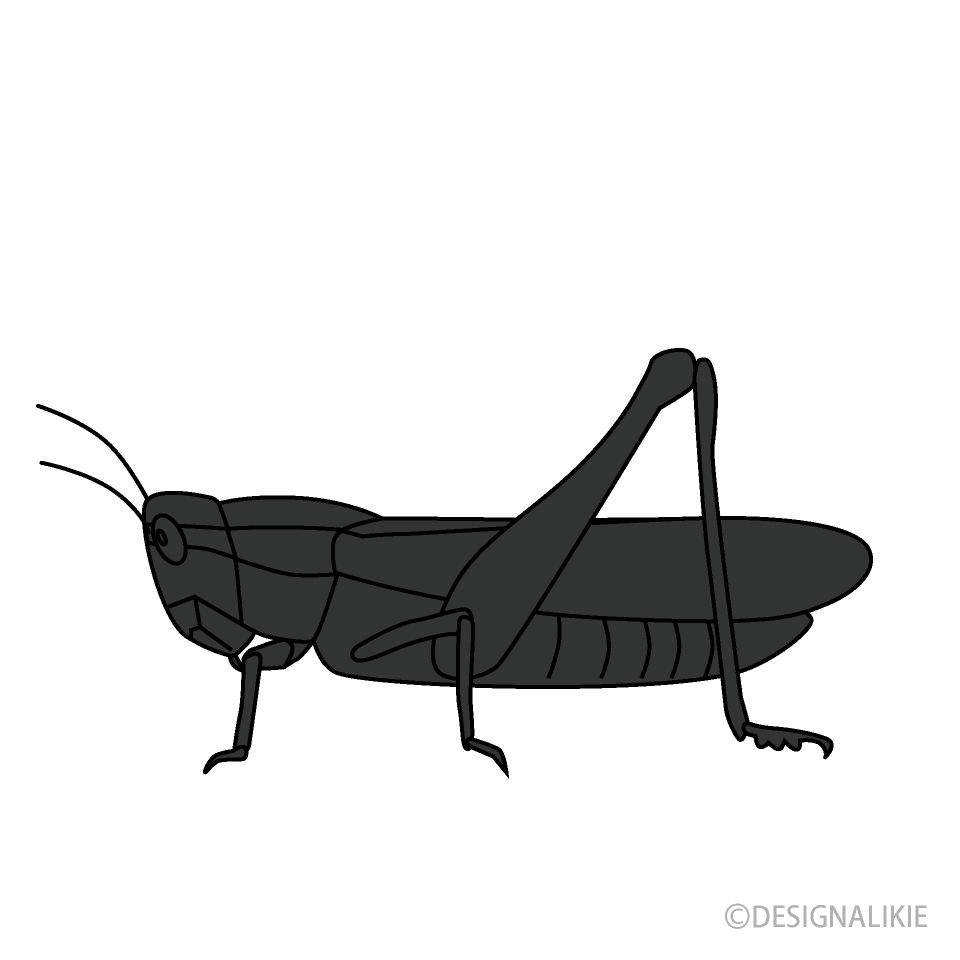 Locust