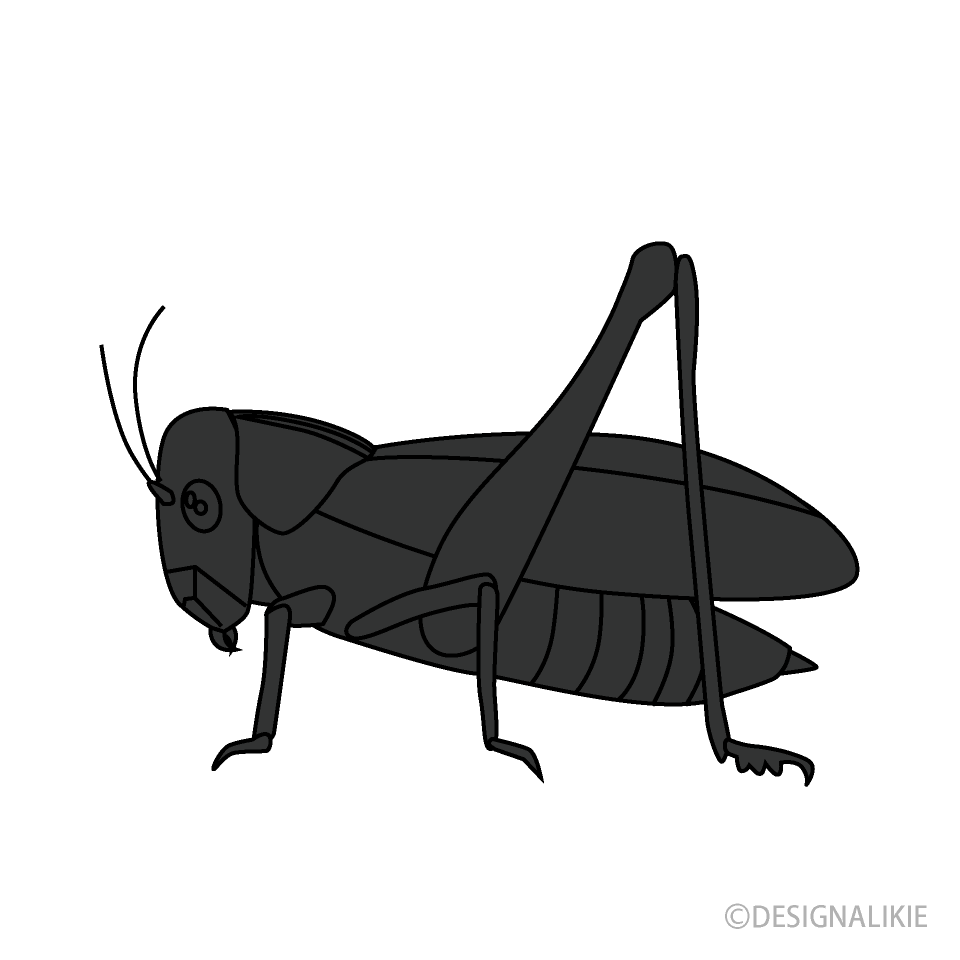 Grasshopper