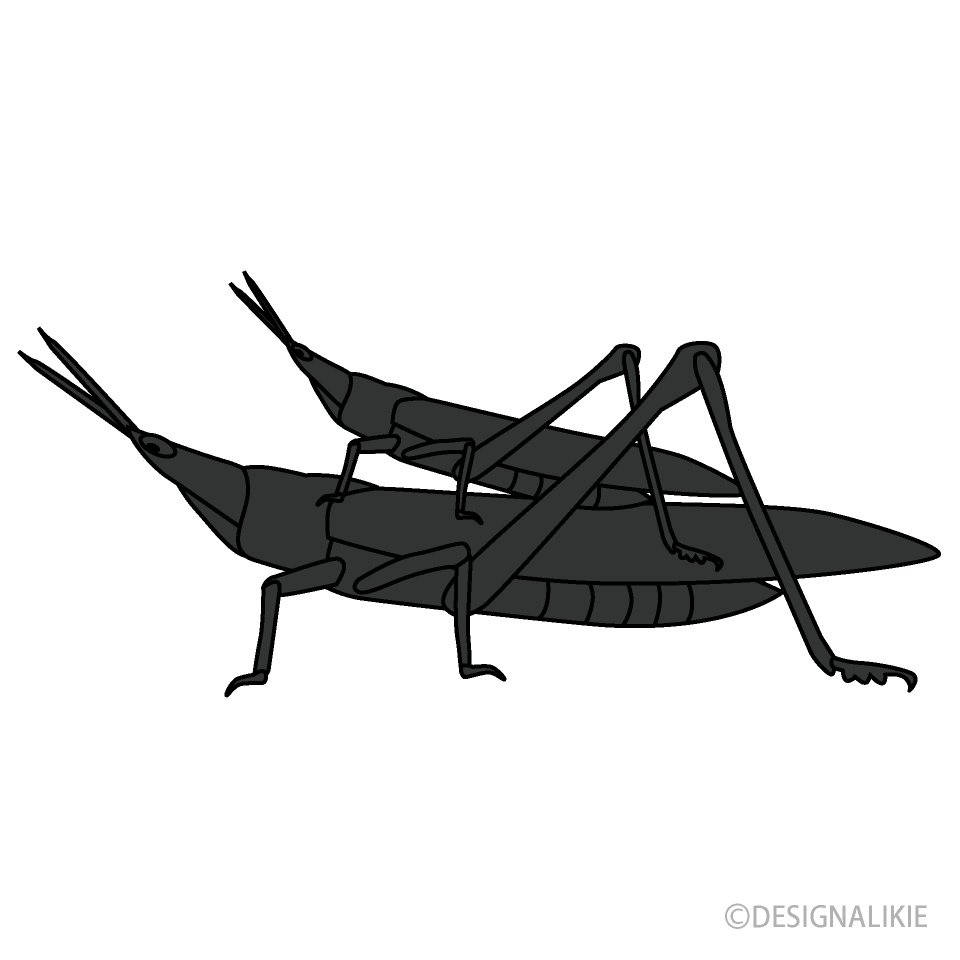 Hormigas Agrupadas alrededor de Comida