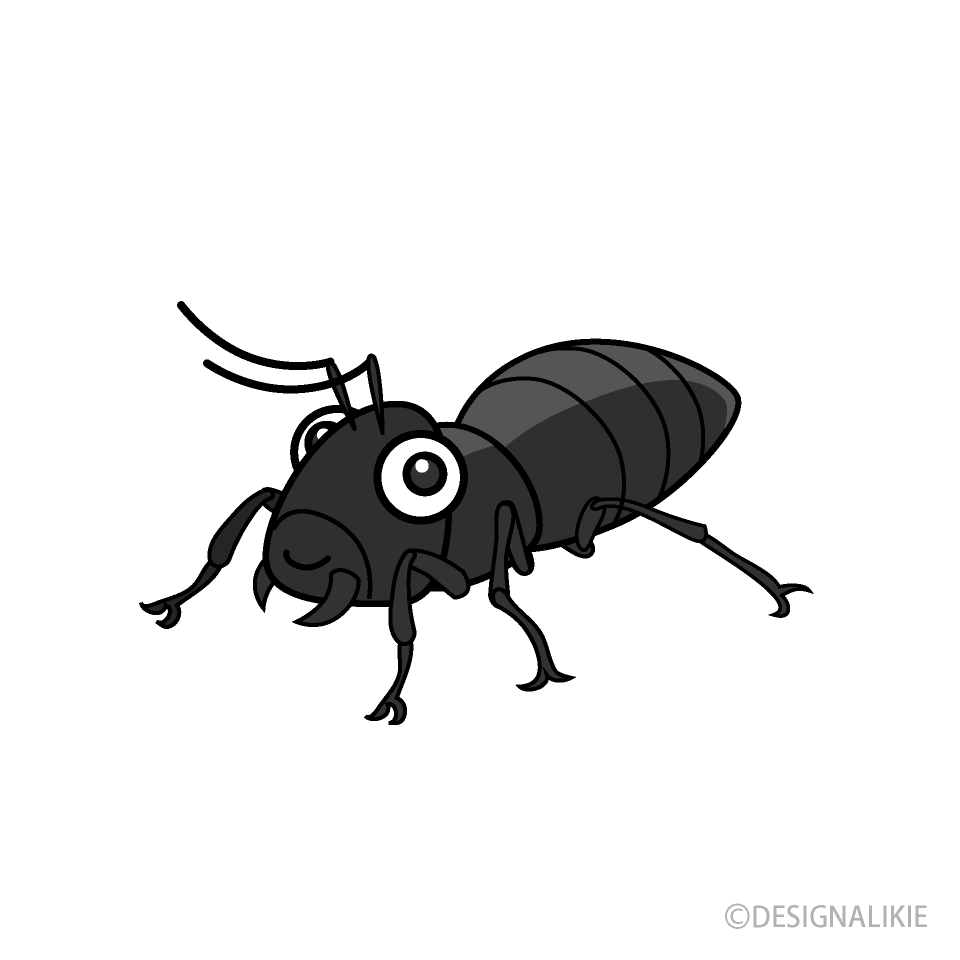 Hormiga Linda