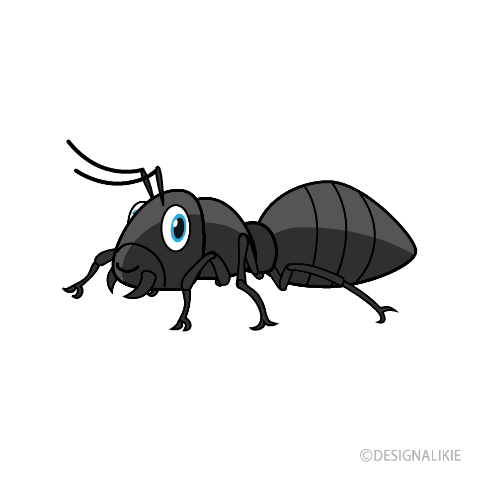 Ant Side View