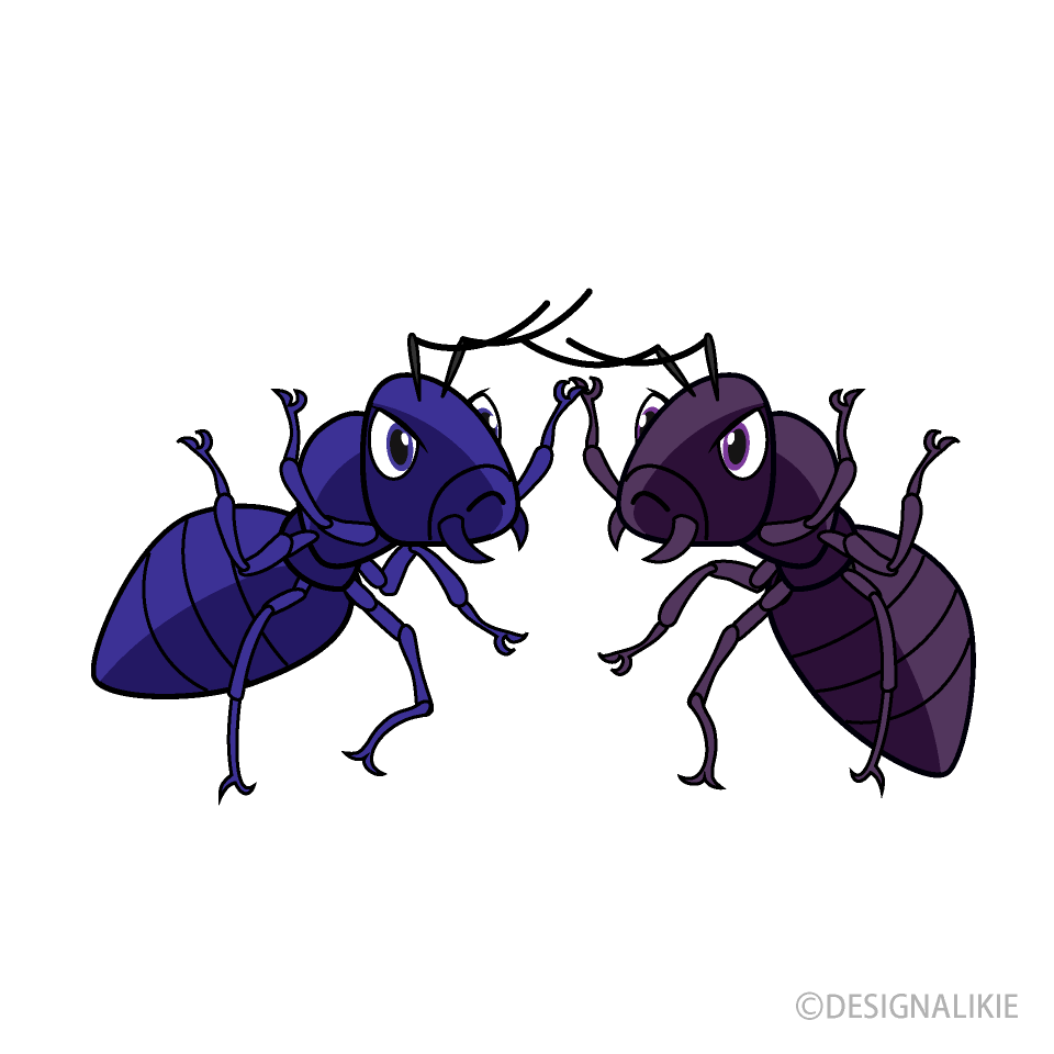 Fighting Ant