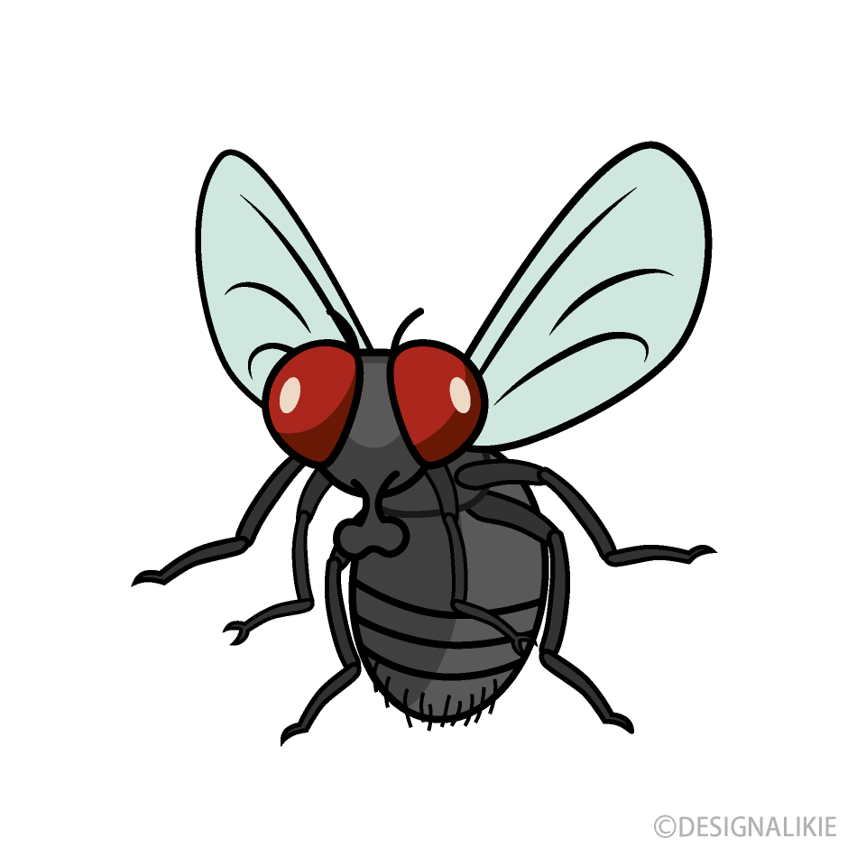 Standing Fly