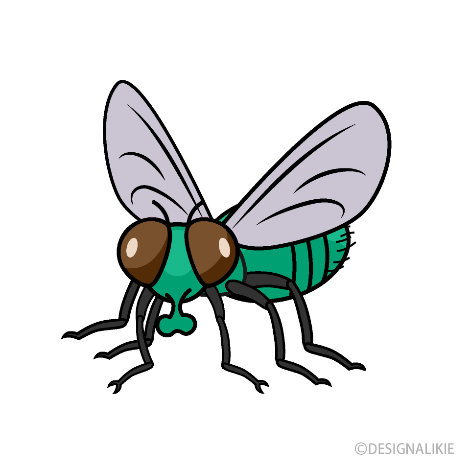 Green Fly