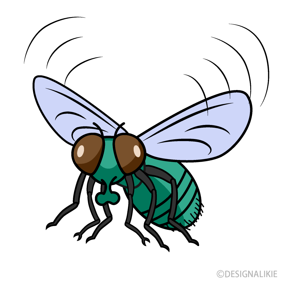 Flying Green Fly