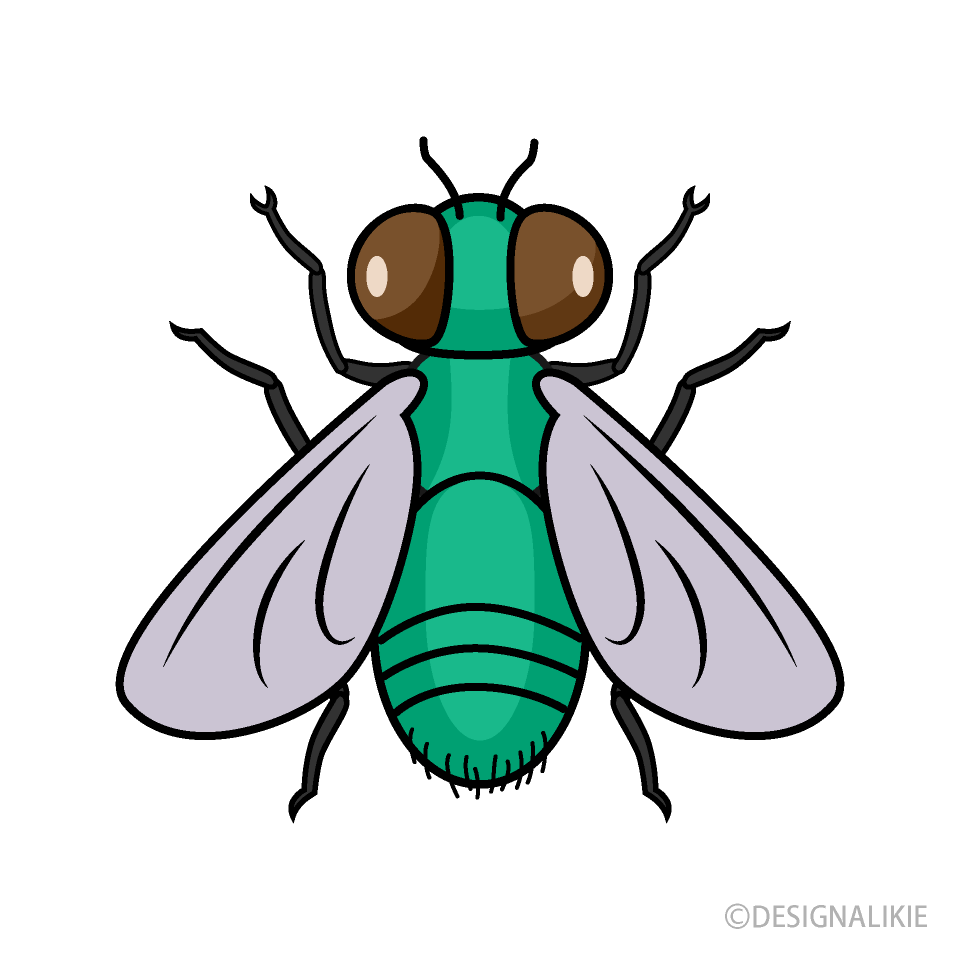 Mosca Vista Lateral
